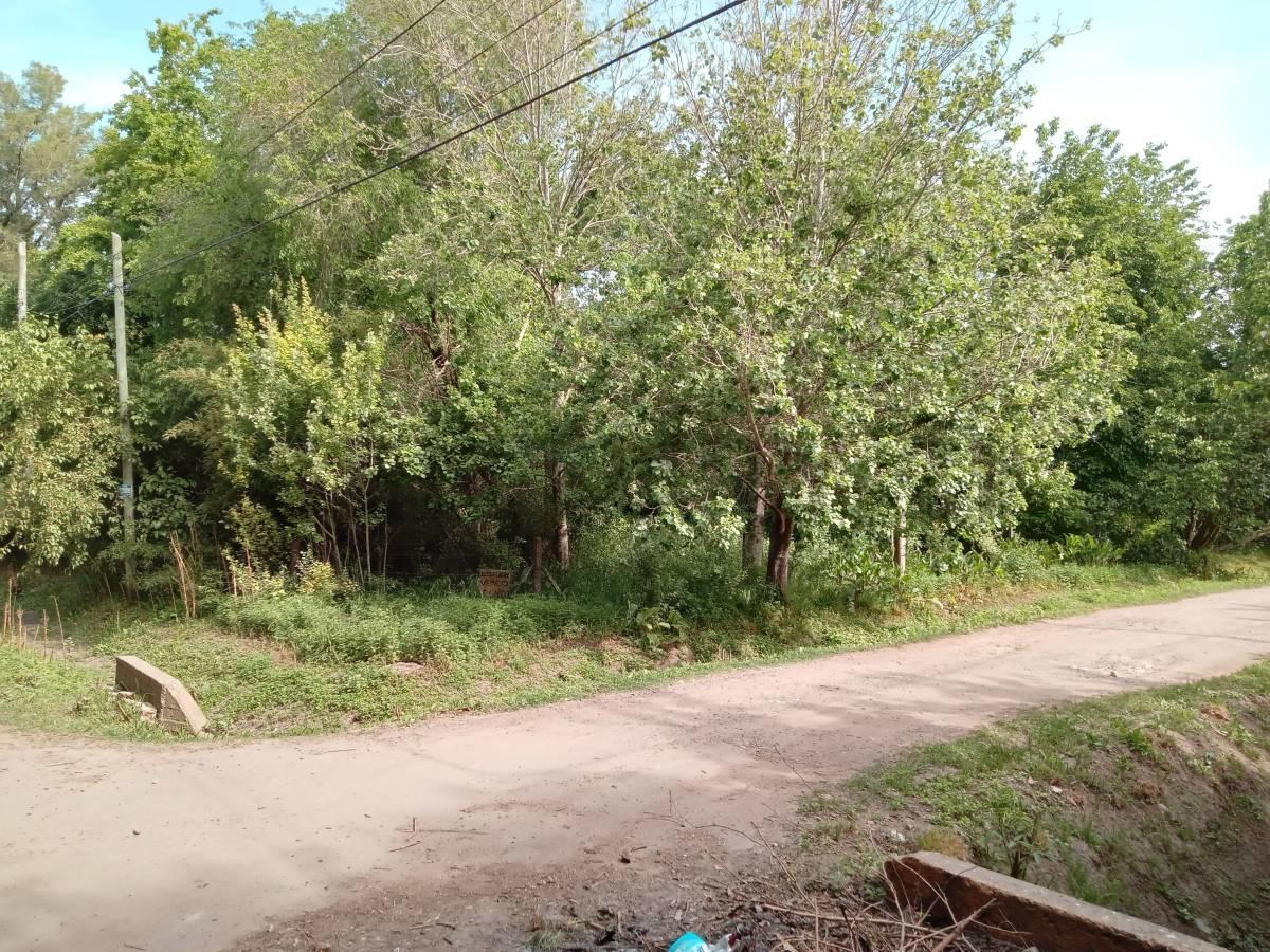 Foto de Lote en venta en Villa Elisa, imagen 5