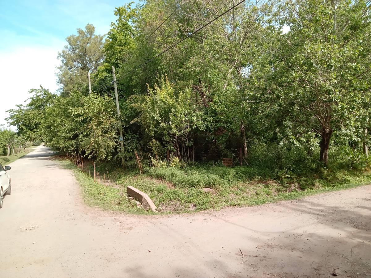 Foto de Lote en venta en Villa Elisa, imagen 2