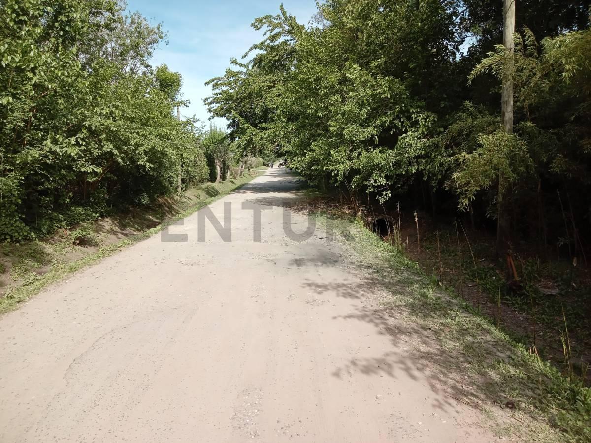 Foto de Lote en venta en Villa Elisa, imagen 1