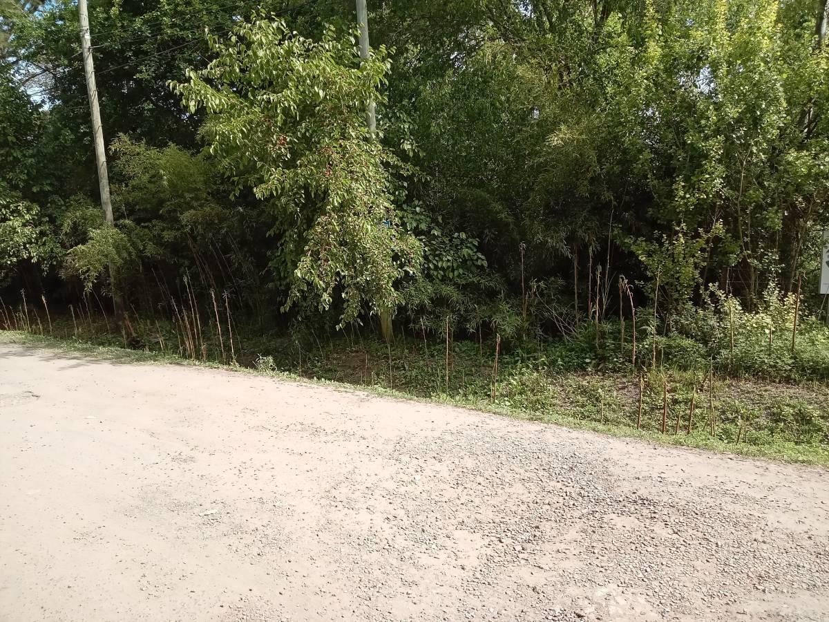 Foto de Lote en venta en Villa Elisa, imagen 3