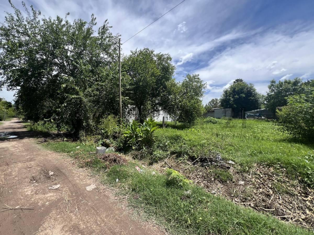 Foto de TERRENO EN VILLA ELISA 10X33 EN CALLE 17 ENTRE 49 Y 50, imagen 5
