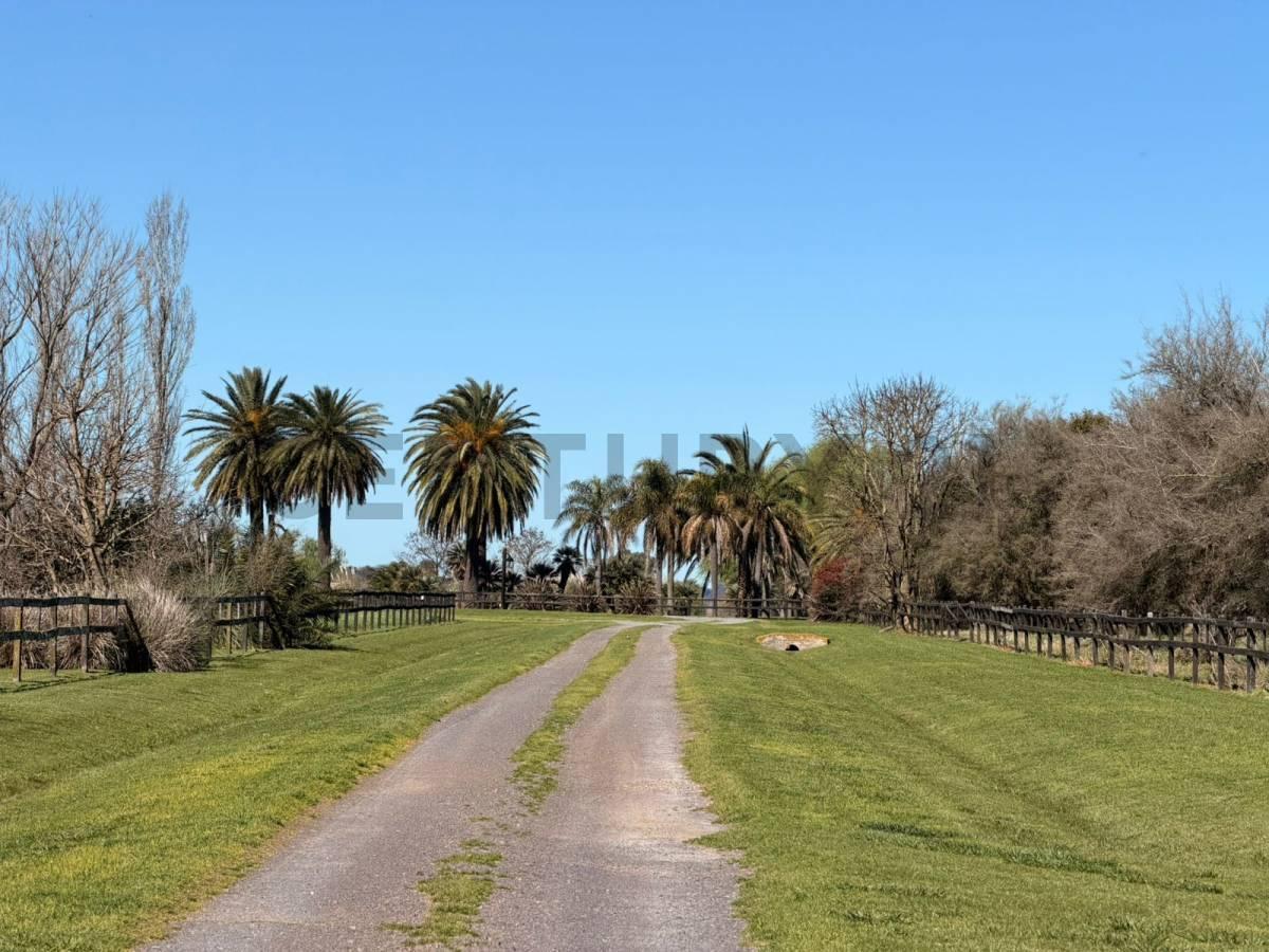 Foto de LOTE DE 1,4 Hectareas a la venta en Santa Maria de Lobos Polo., imagen 4