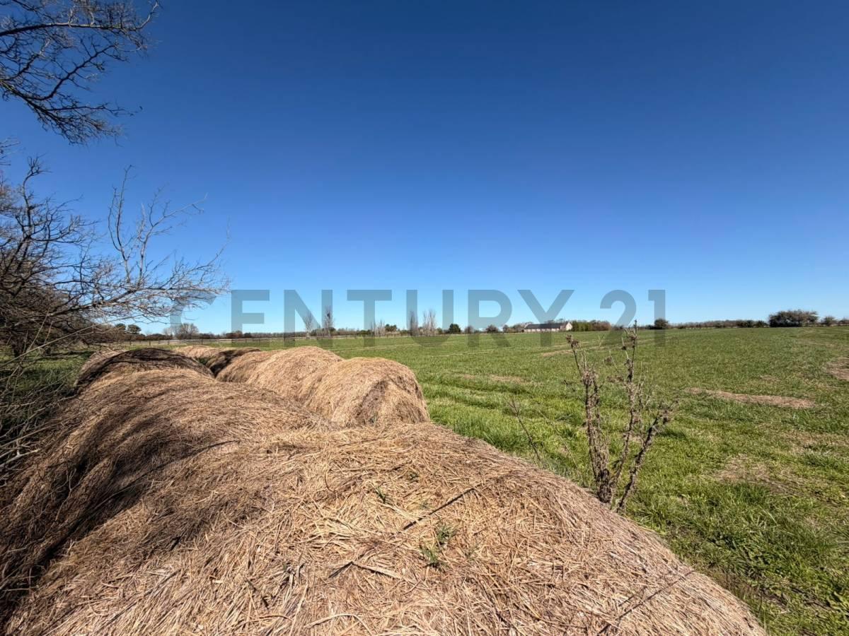 Foto de LOTE DE 1,4 Hectareas a la venta en Santa Maria de Lobos Polo., imagen 3