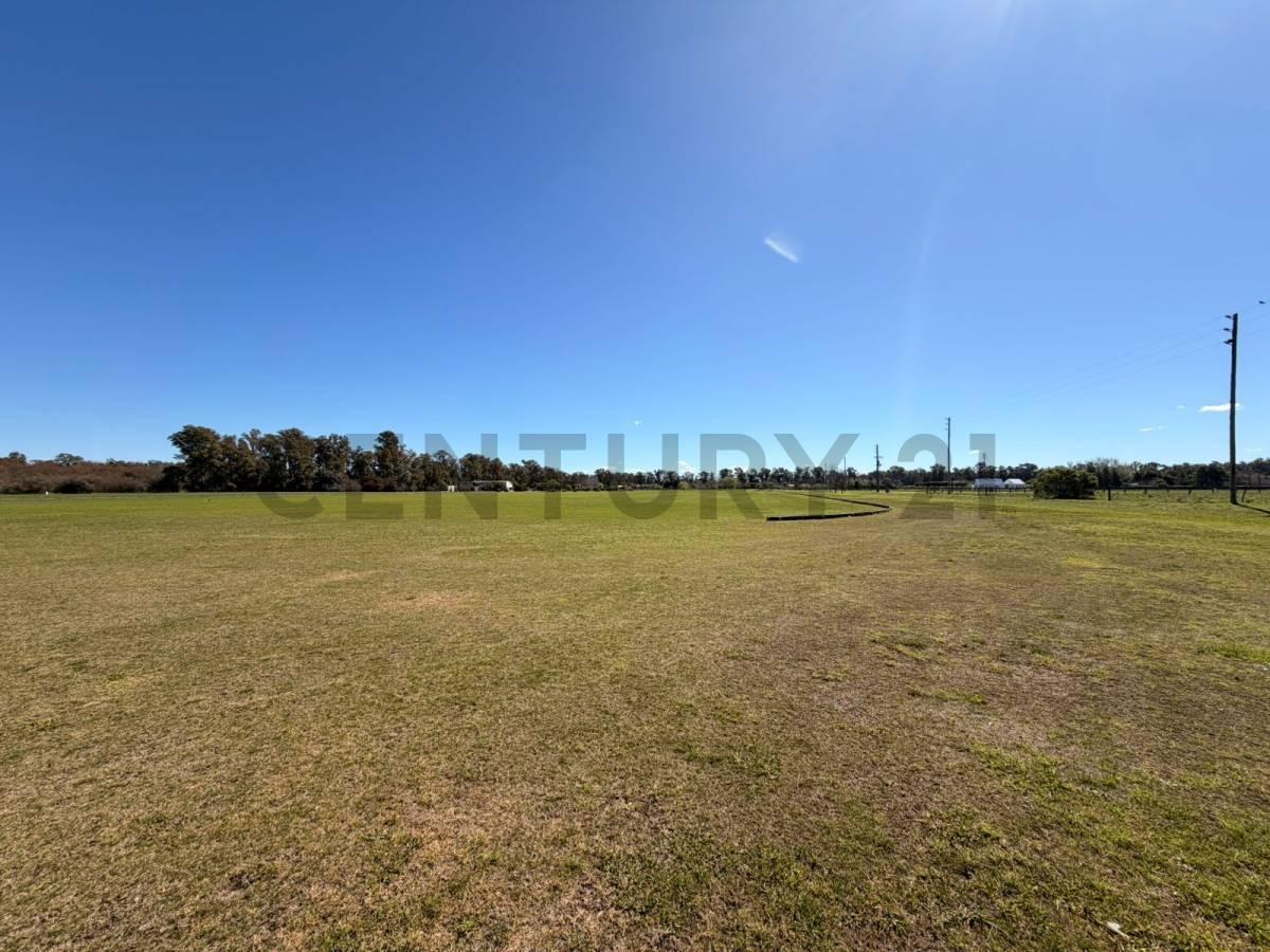 Foto de LOTE DE 1,4 Hectareas a la venta en Santa Maria de Lobos Polo., imagen 5