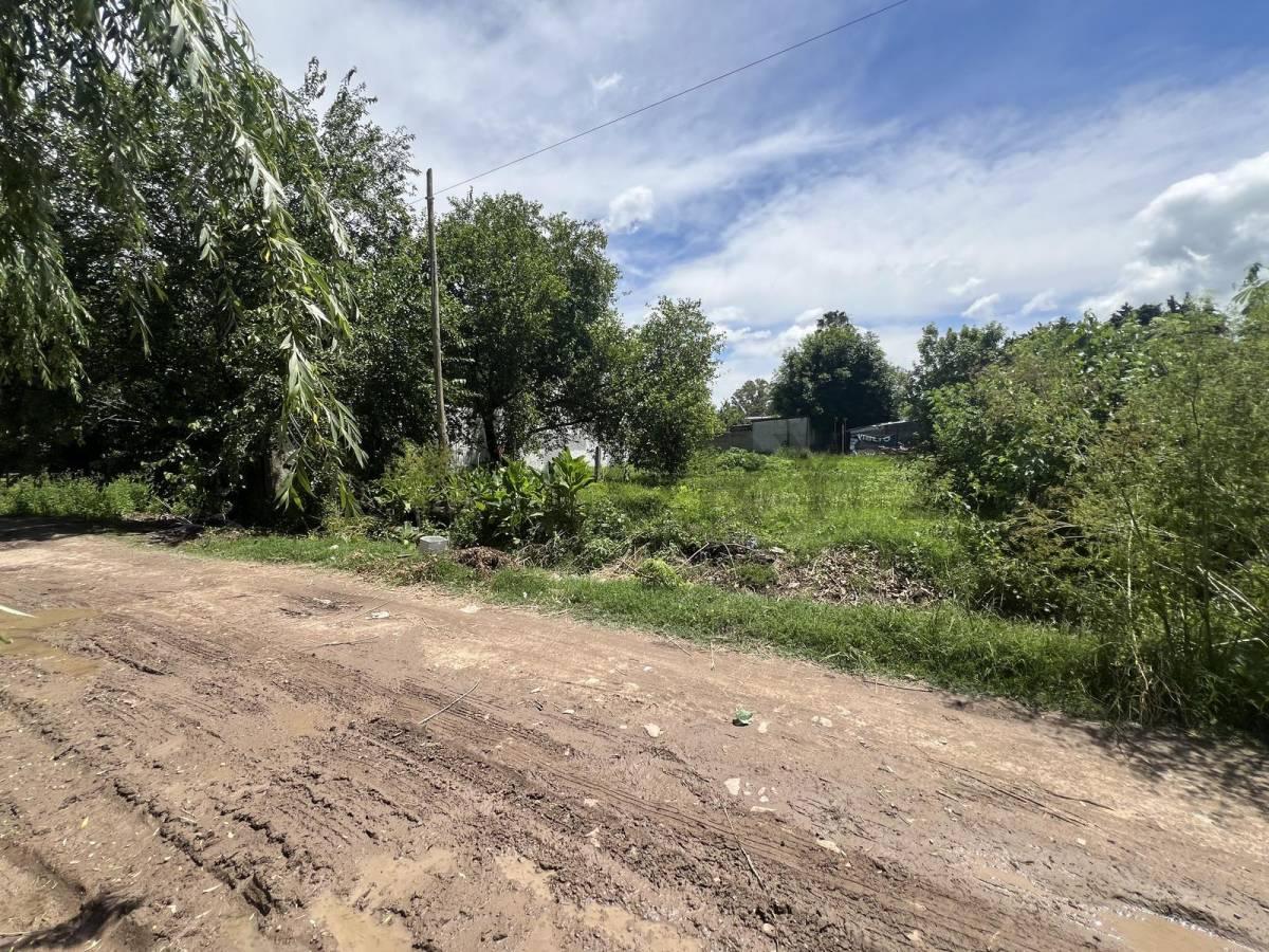 Foto de TERRENO EN VILLA ELISA 20X33 EN CALLE 17 ENTRE 49 Y 50, imagen 2
