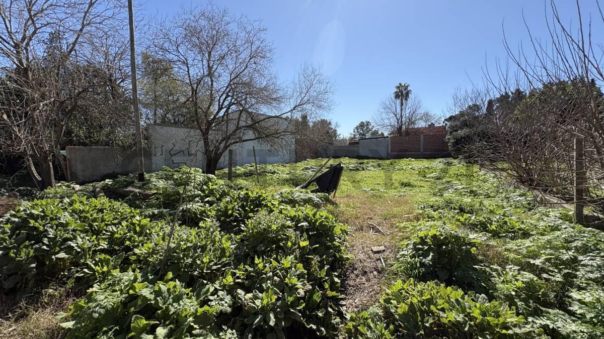 Foto de TERRENO EN VILLA ELISA 20X33 EN CALLE 17 ENTRE 49 Y 50, imagen 1