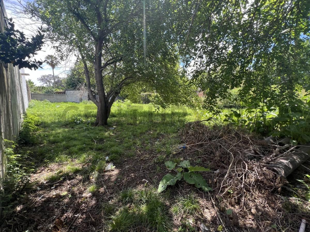 Foto de TERRENO EN VILLA ELISA 20X33 EN CALLE 17 ENTRE 49 Y 50, imagen 3