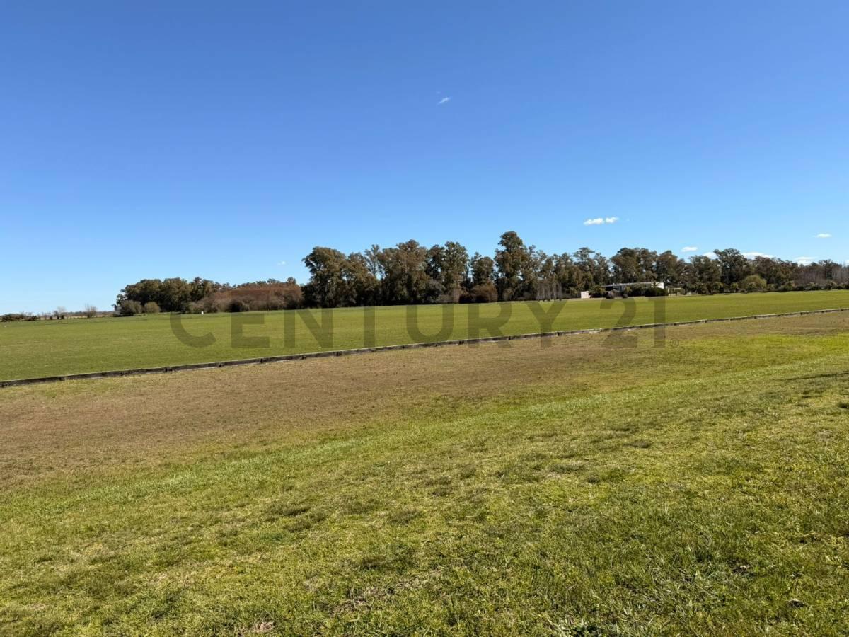 Foto de LOTE DE 1.4 Hectareas a la venta en Santa Maria de Lobos Polo., imagen 3