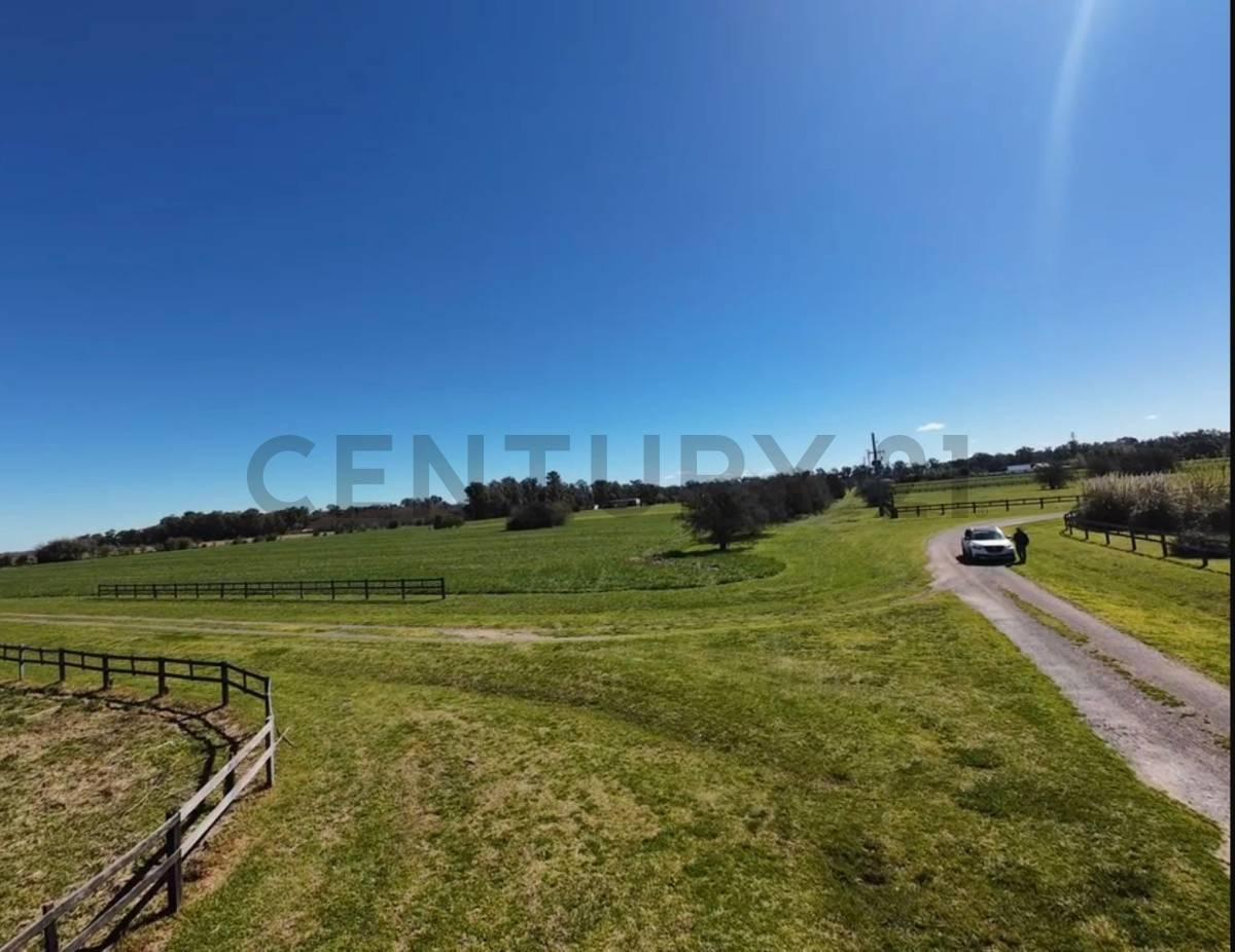 Foto de LOTE DE 1.4 Hectareas a la venta en Santa Maria de Lobos Polo., imagen 2