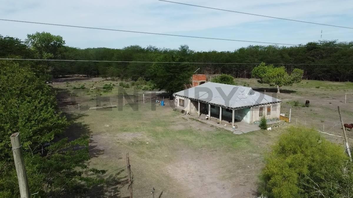 Foto de Lote de 5.3 Hectáreas apto desarrollo habitacional-comercial enAvenida, imagen 5