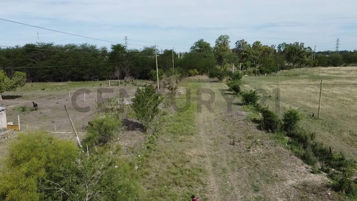 Foto de Lote de 5.3 Hectáreas apto desarrollo habitacional-comercial enAvenida, imagen 4
