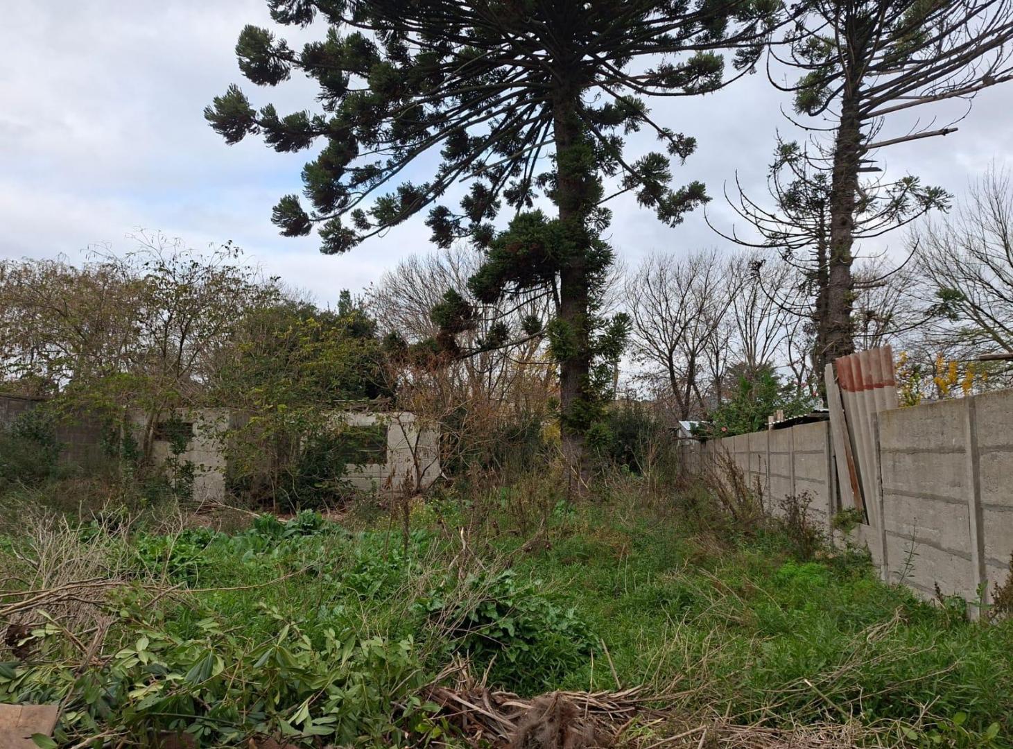 Foto de LOTE A LA VENTA MELCHOR ROMERO, imagen 2
