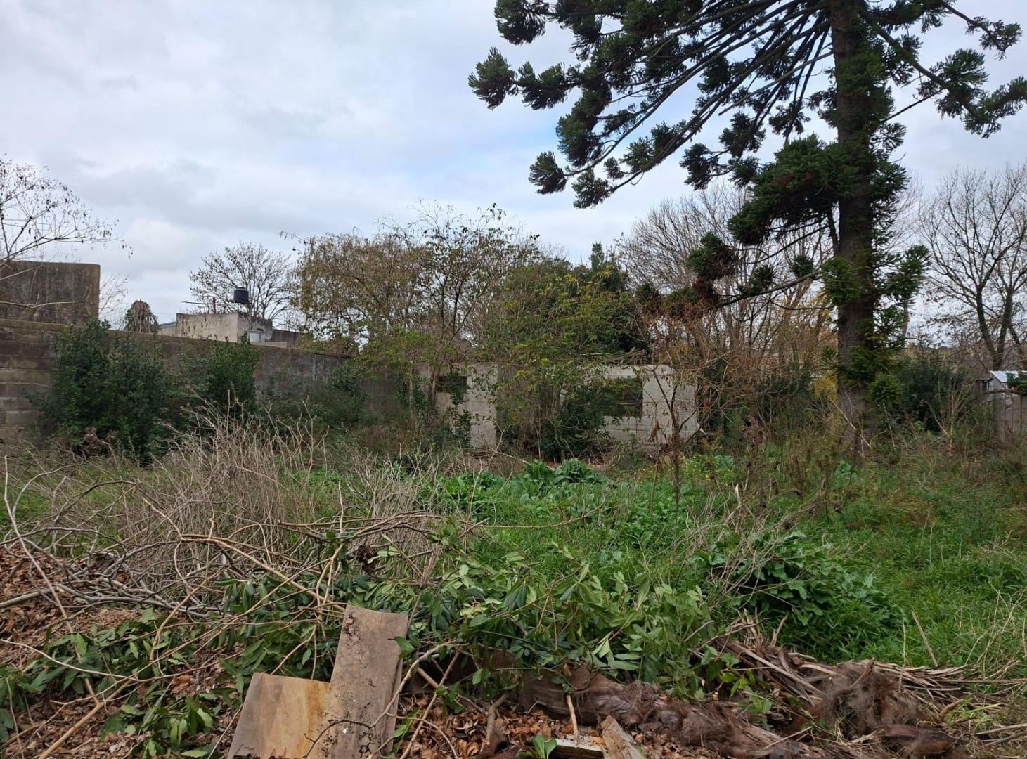 Foto de LOTE A LA VENTA MELCHOR ROMERO, imagen 1