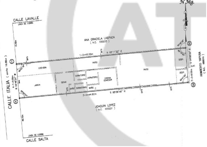 Plano 1