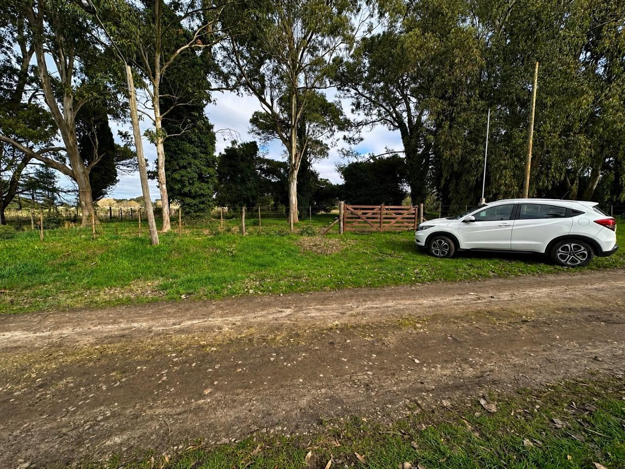 Foto de Terreno en Mar Del Plata, imagen 3