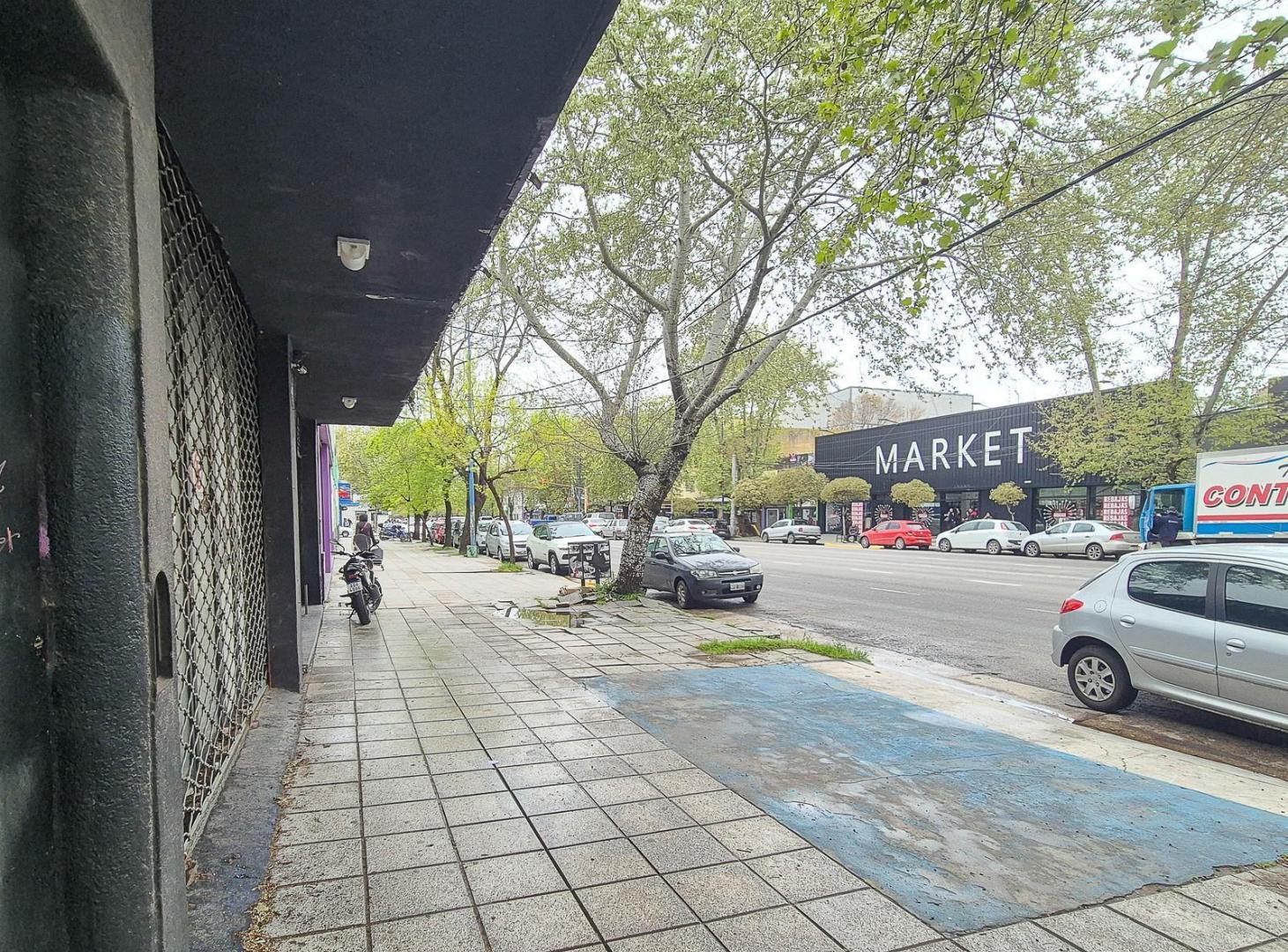 Foto de Dos locales con oficinas en lote propio Avenida Luro, imagen 5