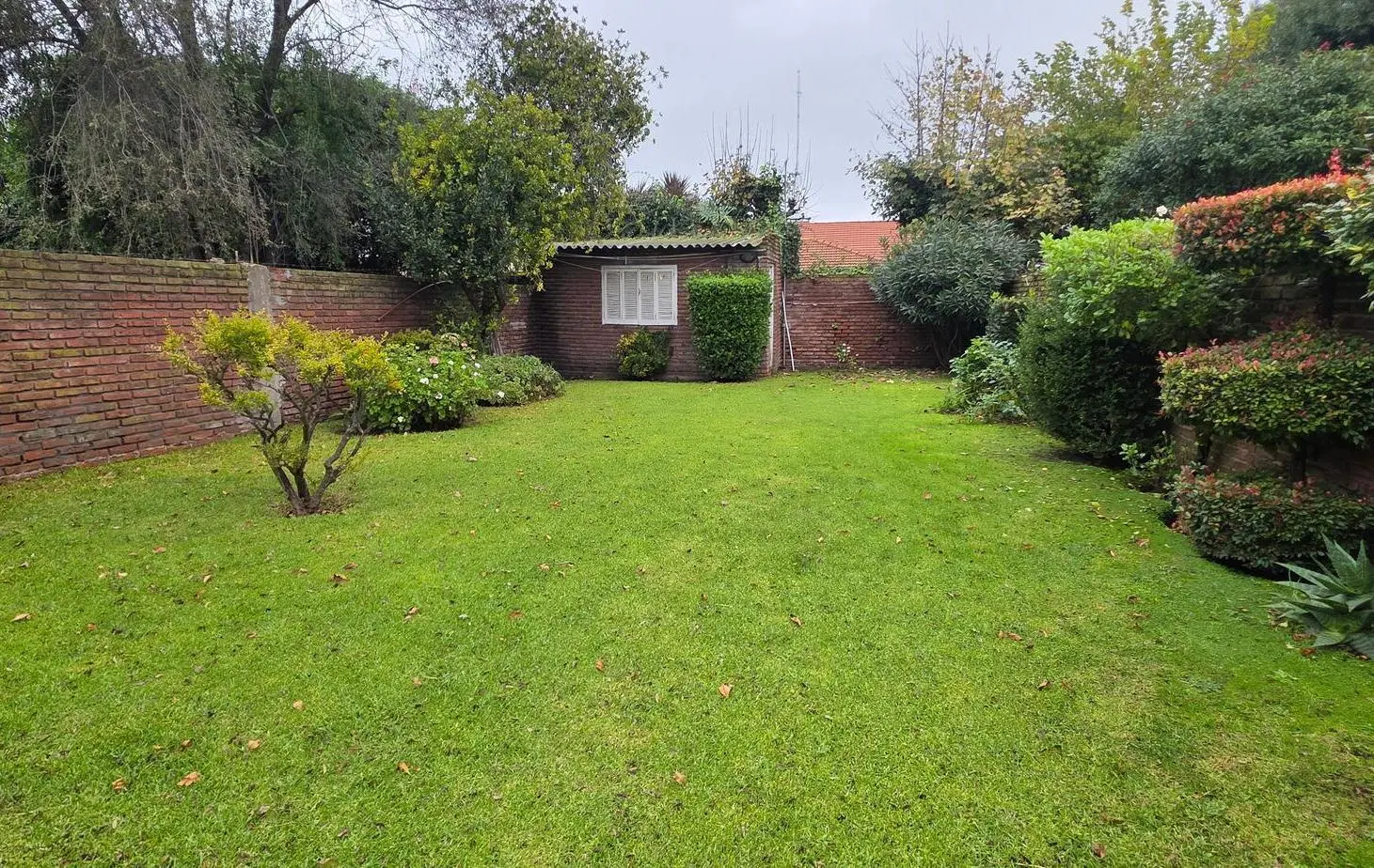 Chalet en excelente emplazado en lote de buena dimensión 5