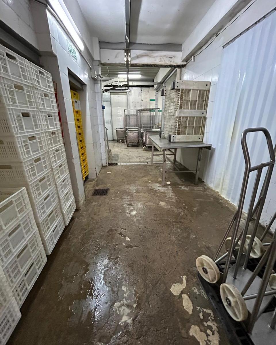 Oportunidad Frigorífico Habilitado!, 323 M²! 5