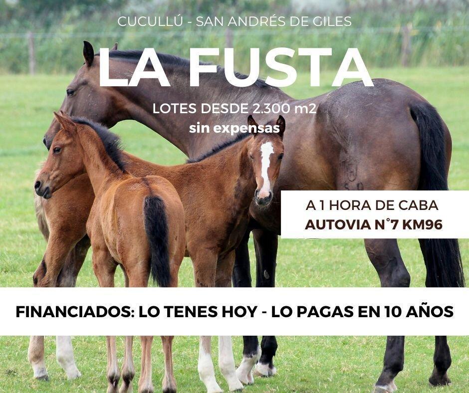 Foto de LOTE 2.400m2 ESCRITURABLE. LA FUSTA - SAN ANDRÉS DE GILES - CUCULLÚ, imagen 5