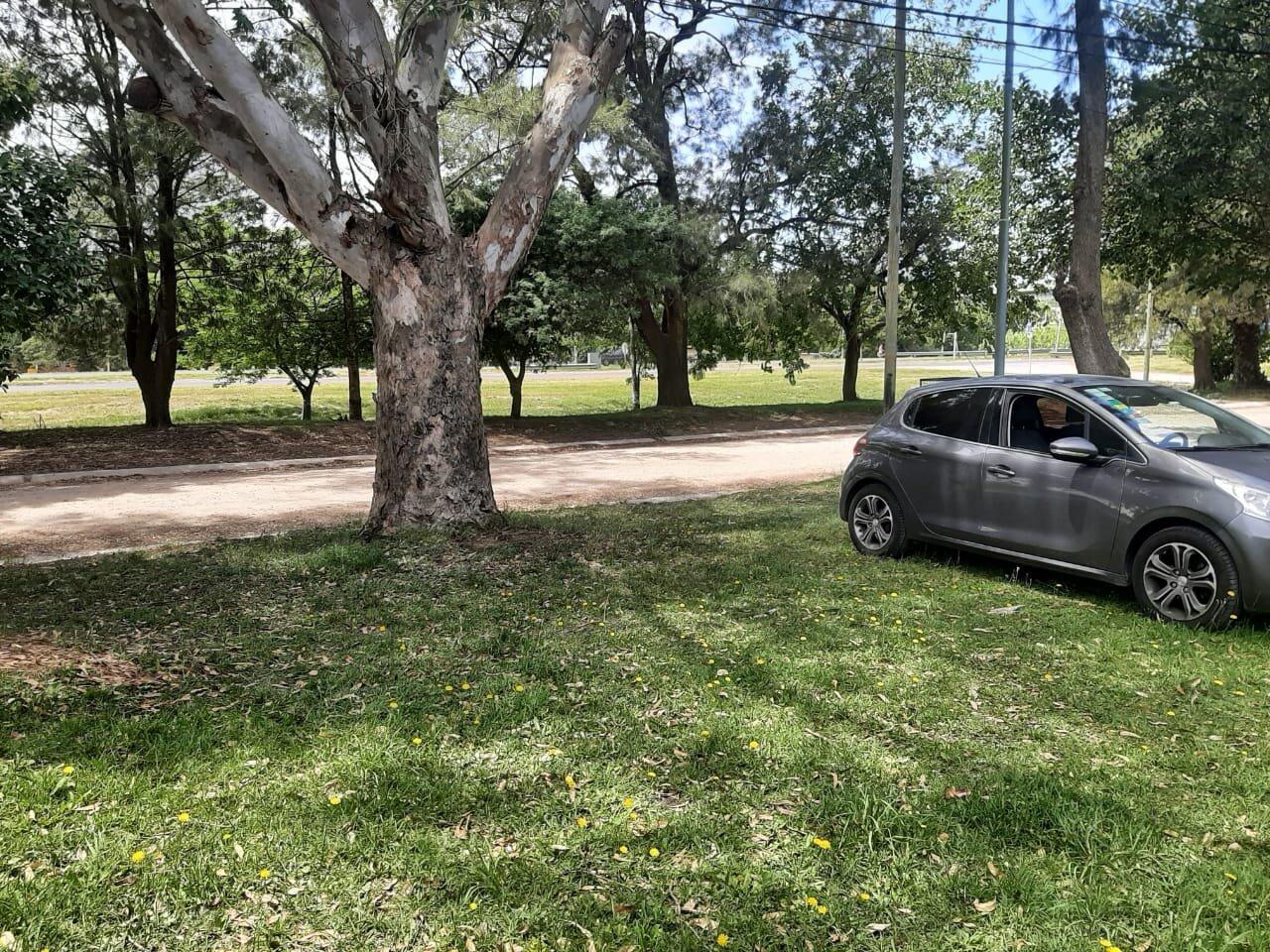 Foto de TERRENO - LOTE - LA FLORIDA, MAR DEL PLATA., imagen 4