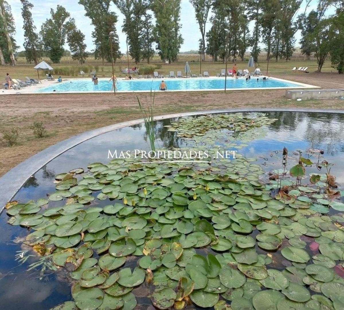 Lote en Venta en Gral Rodriguez Barrio Tres Pinos 4