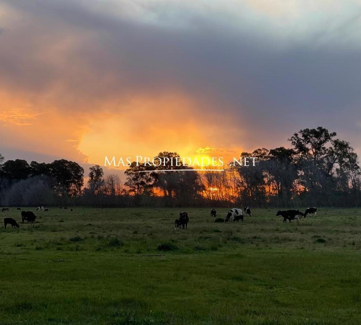 Terreno en Venta en Cañuelas 5