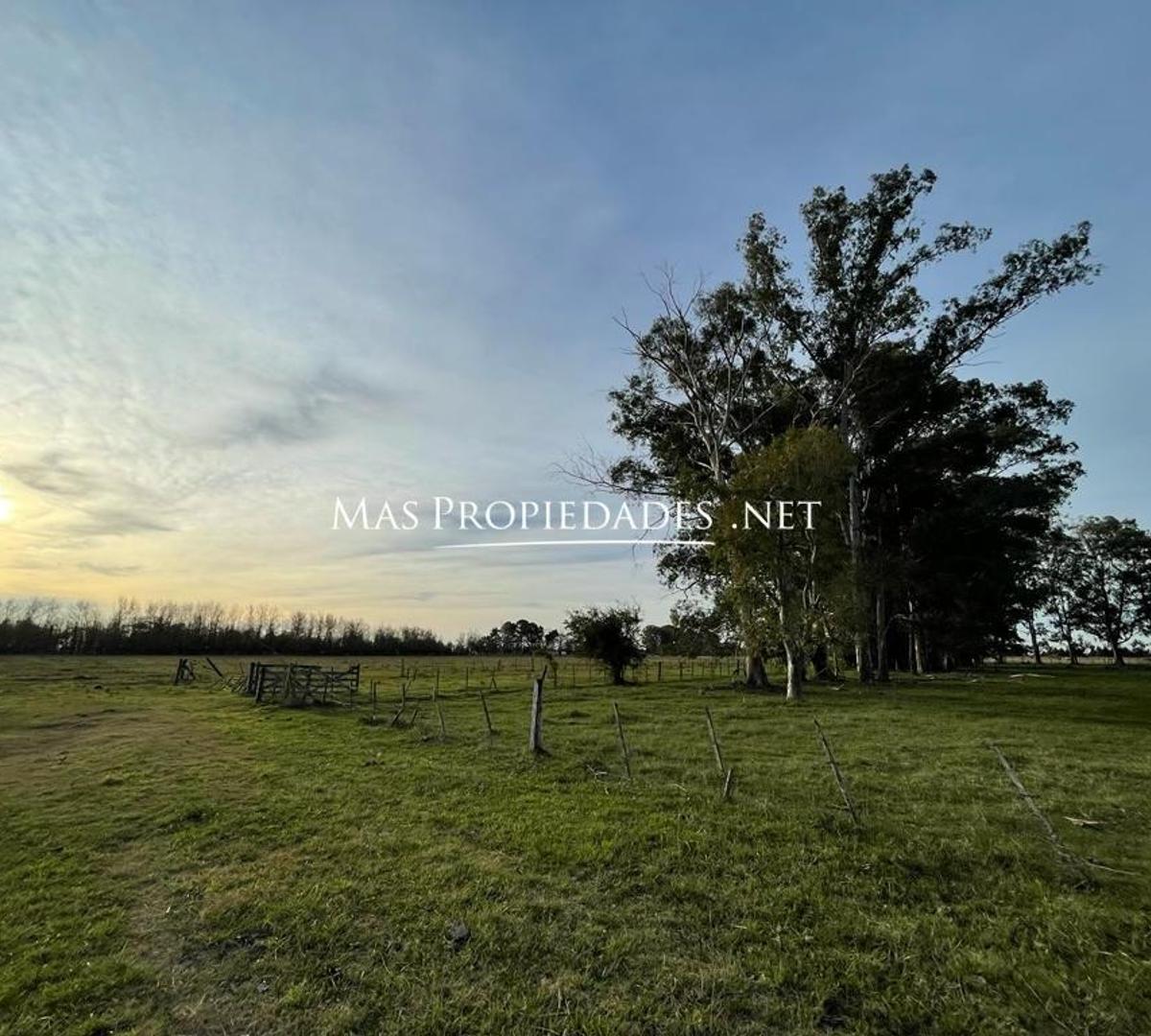 Terreno en Venta en Cañuelas 3