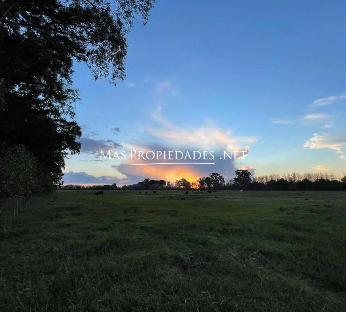 Terreno en Venta en Cañuelas 4