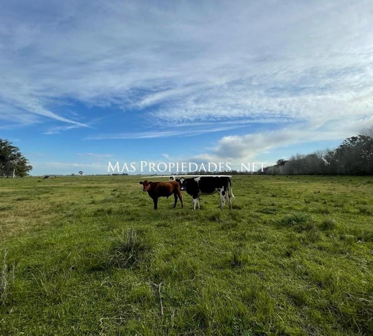 Terreno en Venta en Cañuelas 2