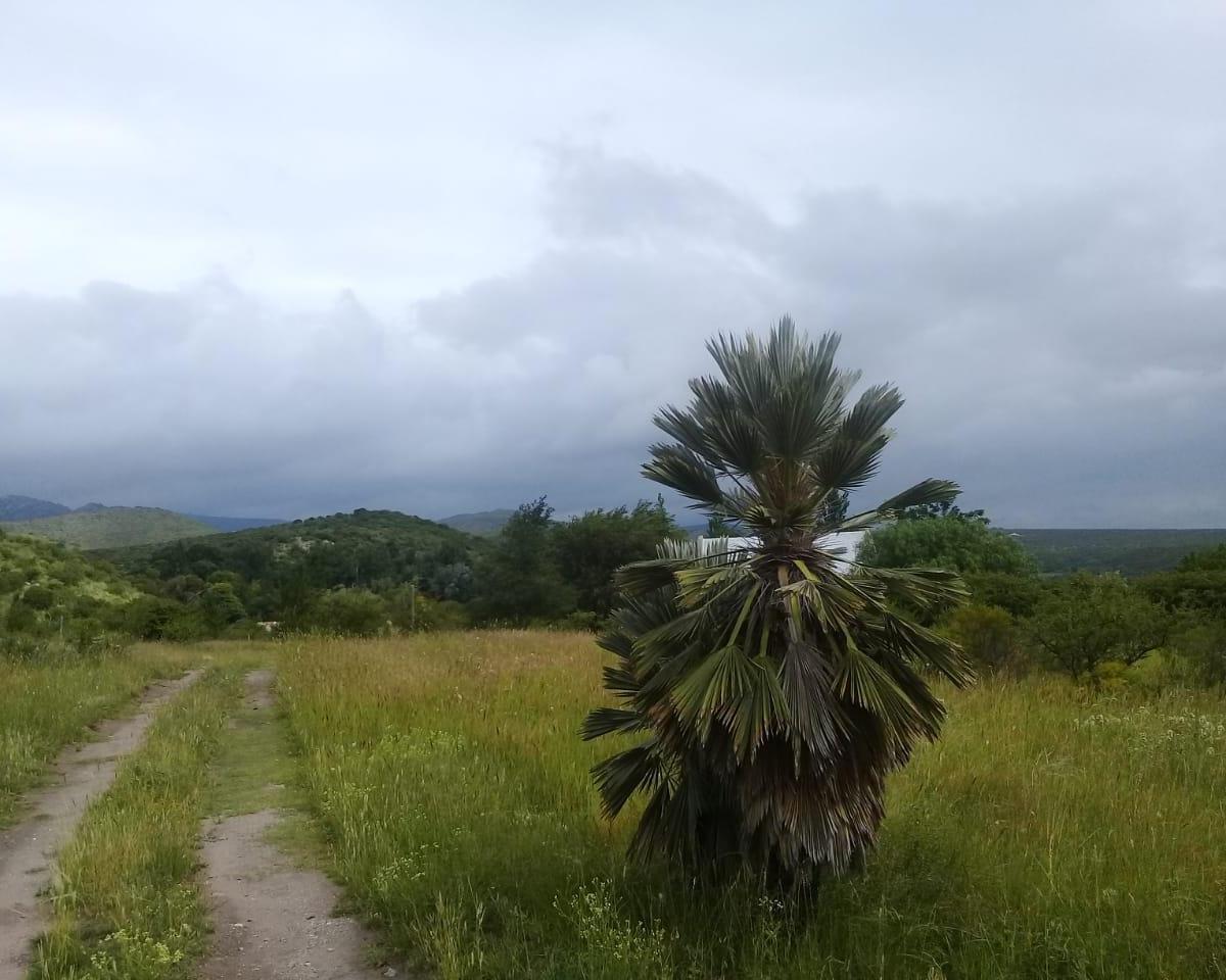 Vendo 7 Ha Cruz Grande 4