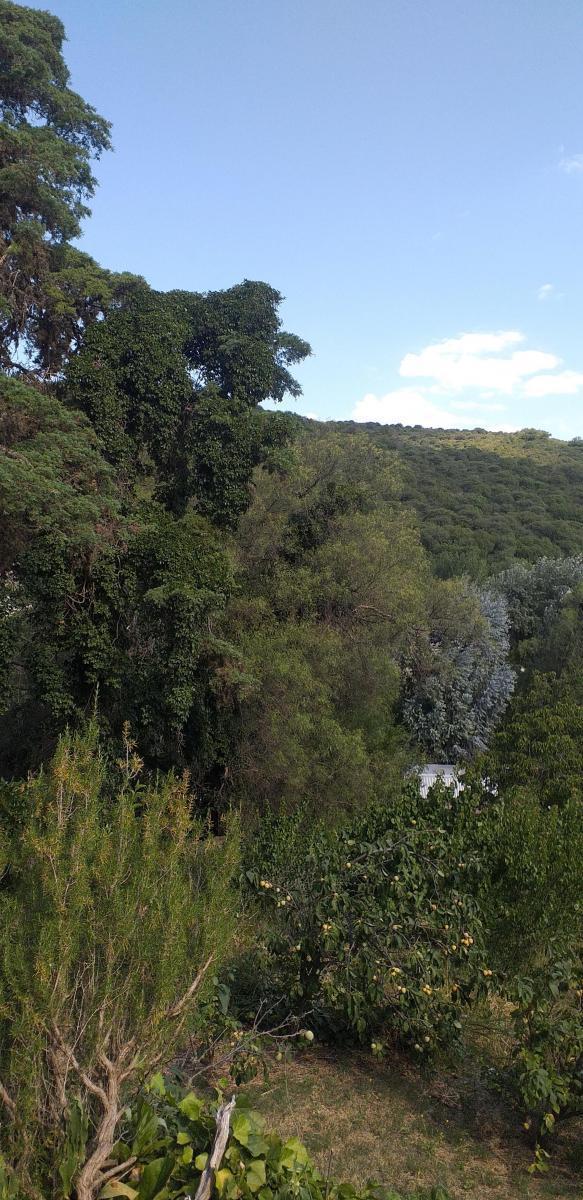 Venta Casa Antigua Cruz Chica a Refaccionar 1 Hectarea Frutales 5