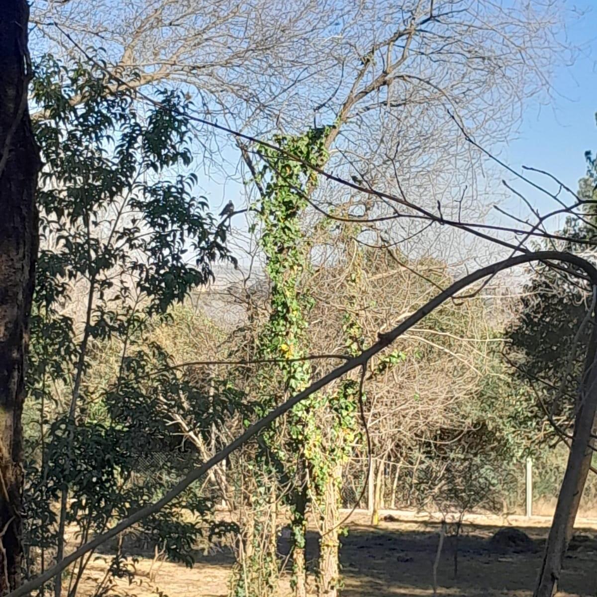 Vendo Terreno La Cumbre Entre El Centro y El Golf 3