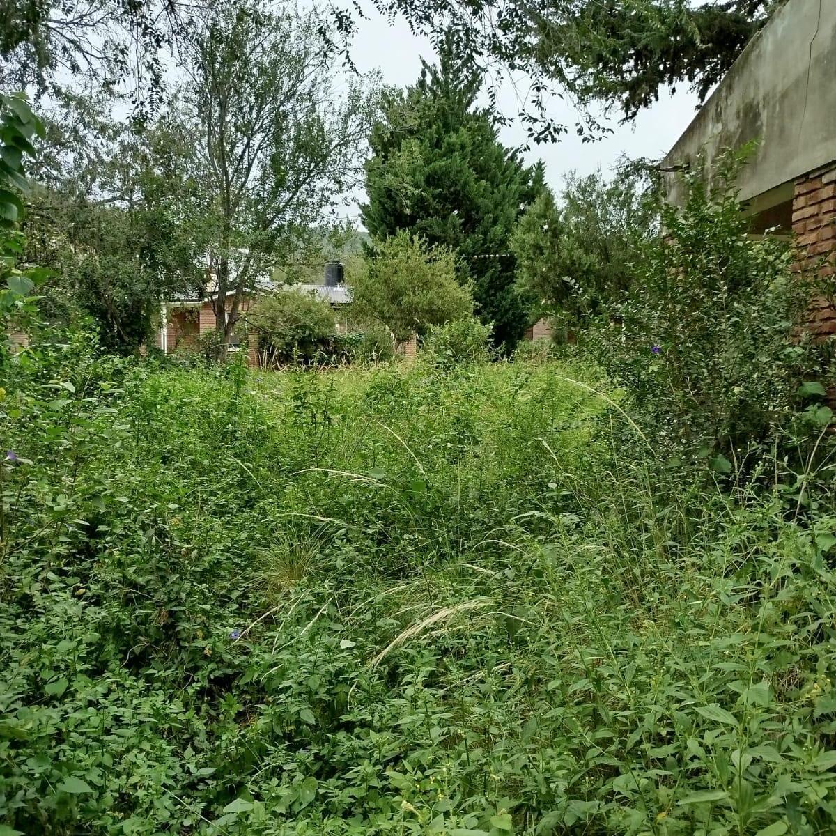 Se Vende Terreno con Casa a Restaurar 5