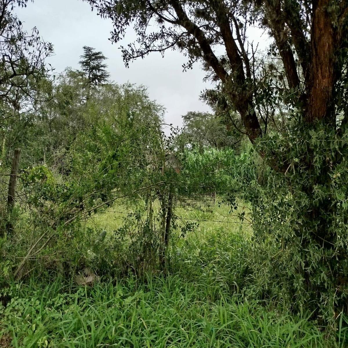 Se Vende Terreno con Casa a Restaurar 4