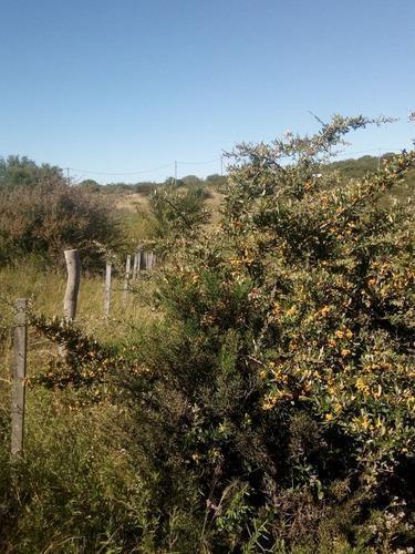 Terreno con Escritura Lomita San Luis Hermoso 5
