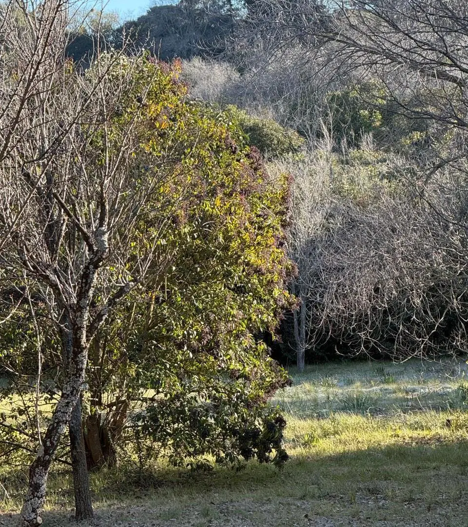 Terreno en La Cumbre con gas natural a dos cuadras del golf 2