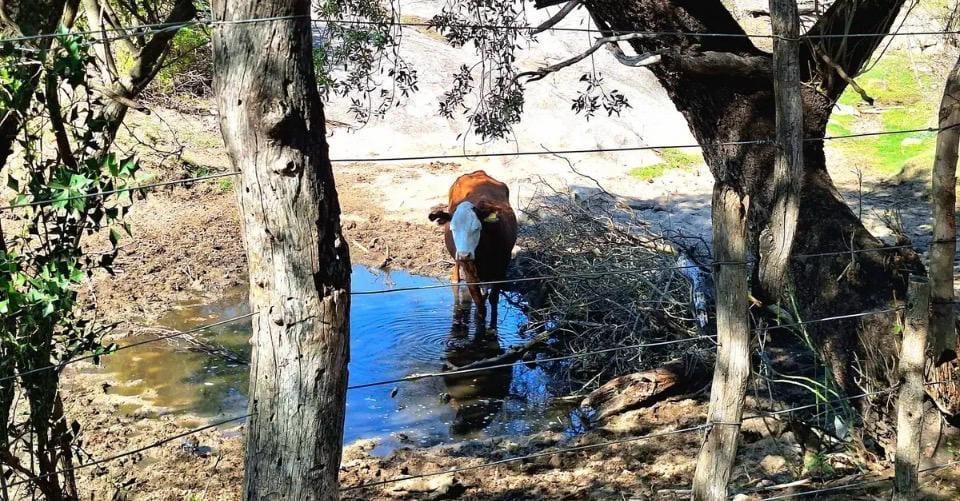 Foto de Se vende campo en La Cumbre zon Rio Pinto Escritura, imagen 1