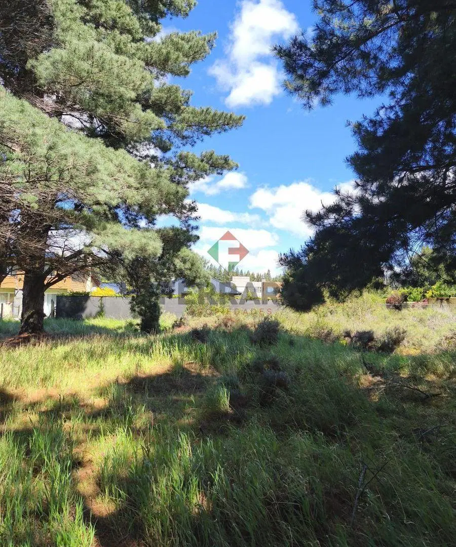 Oportunidad única – Terreno en Barrio Entre Pinos, Bariloche – IDEAL INVERSORES! 4