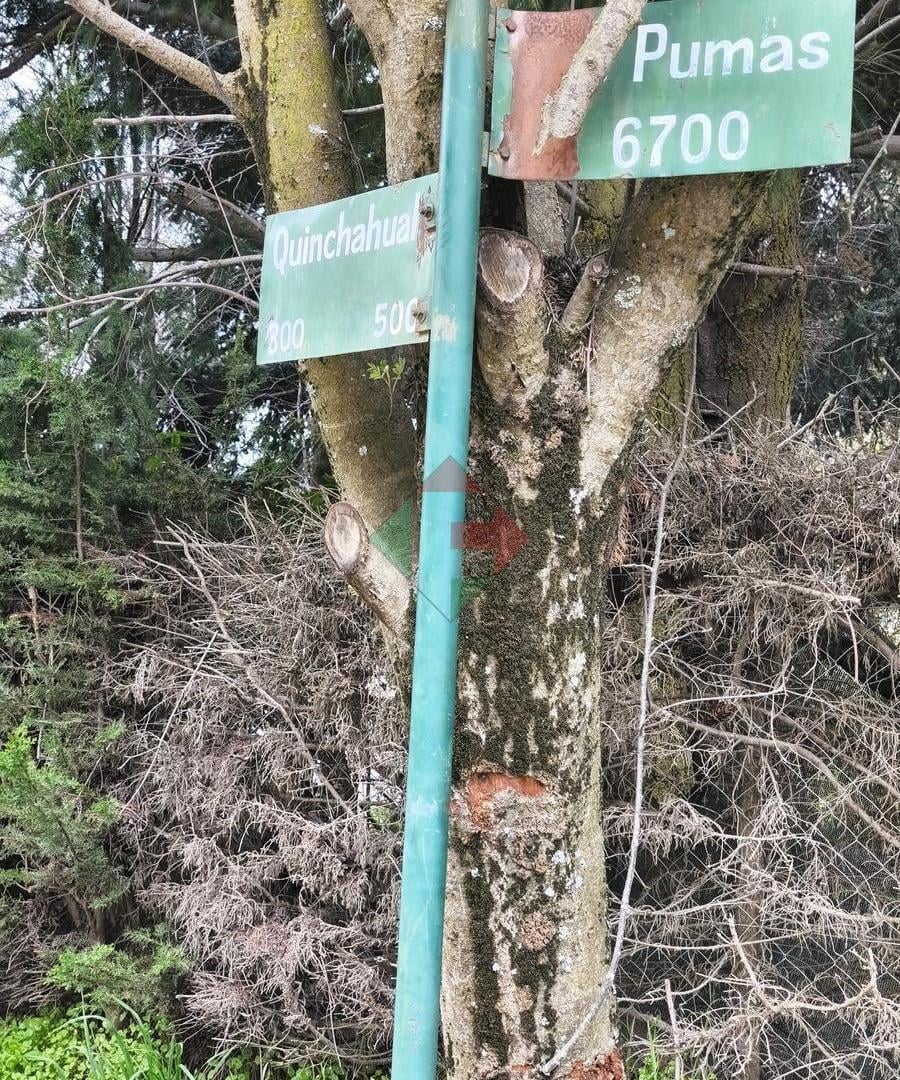 Foto de Lote en Bariloche, plano, limpio, a una cuadra de Av. Bustillo y a dos, imagen 3