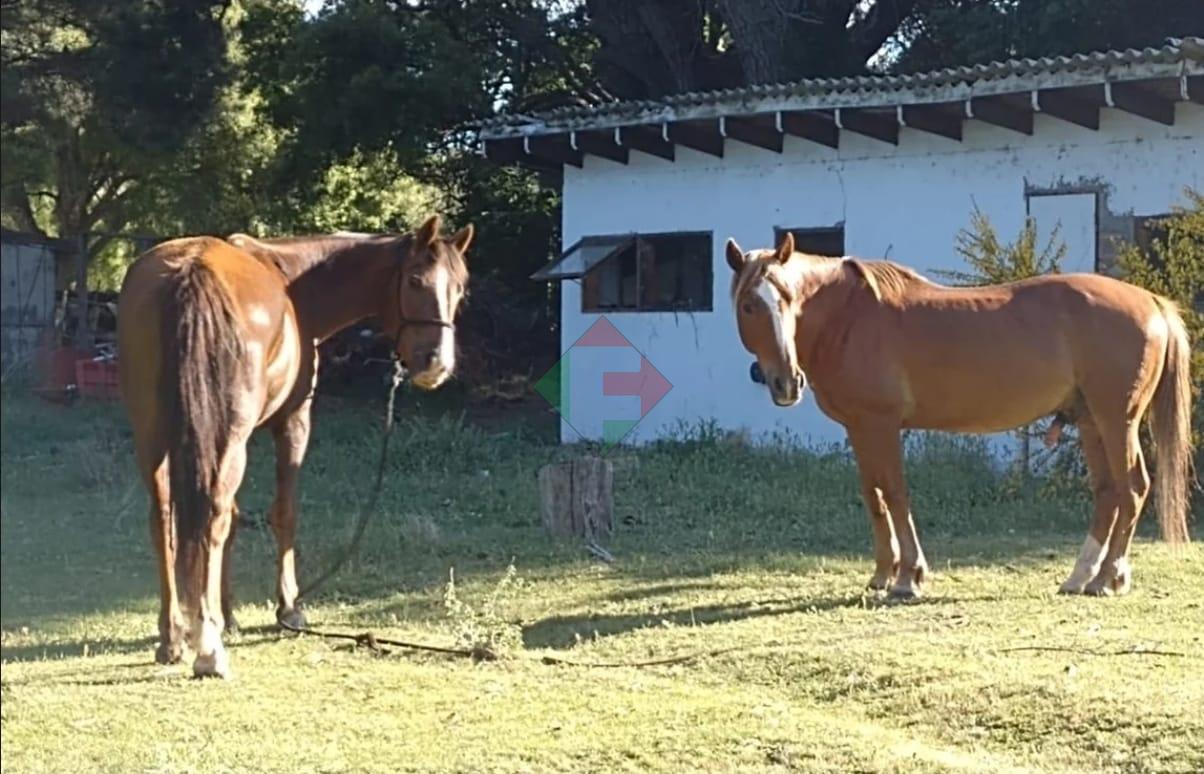 Foto de Venta Chacra de 16.600 M2 en Bariloche, imagen 2