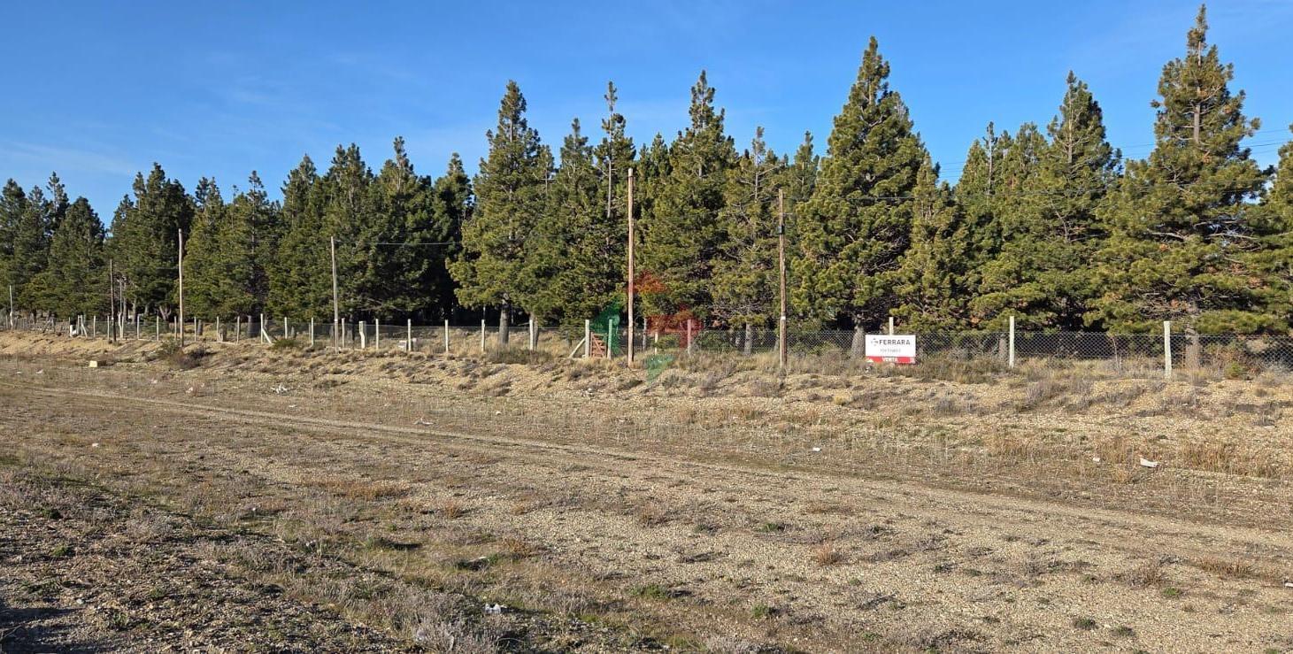 Foto de Venta Lote en PH en ruta 40, imagen 5