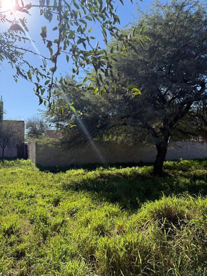 Foto de Terreno de 450 m² en venta en Villa Allende - Lomas Sur, imagen 5
