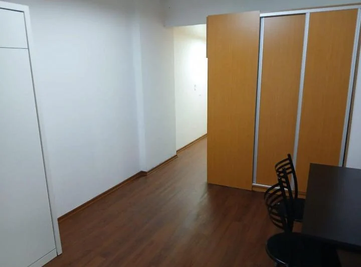 Alquiler Monoambiente Centro 1