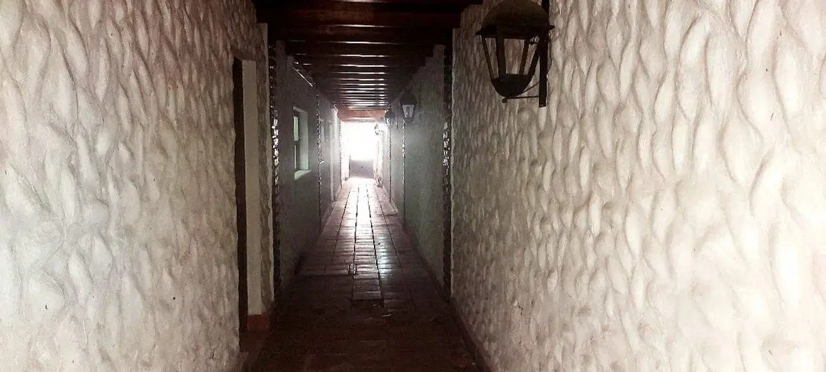 VENTA DOS LOCALES CON VIVIENDA Y JARDIN 4