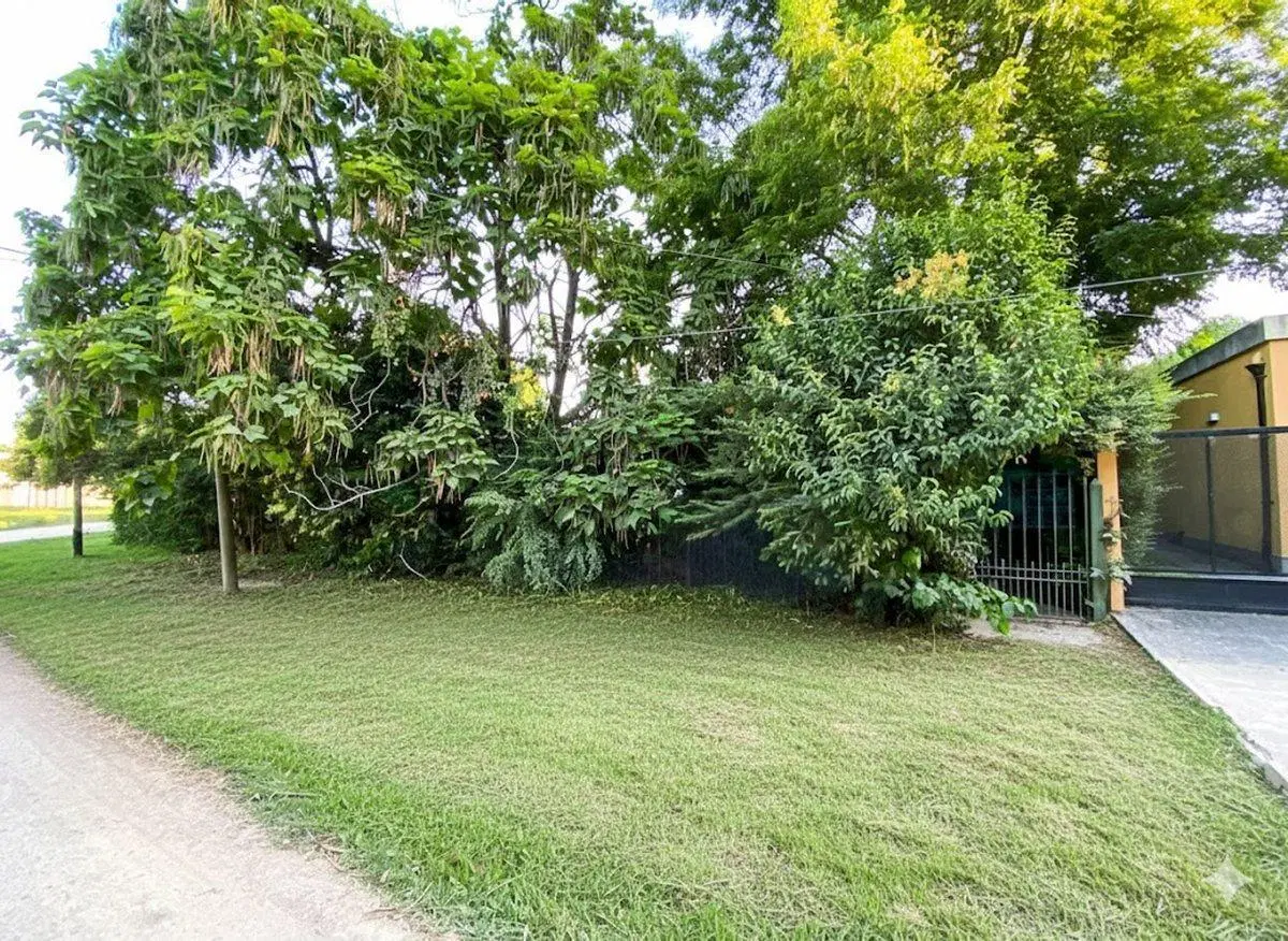 CASA A REFACCIONAR 2 AMBIENTES | ENTRADA EL TRÉBOL 8