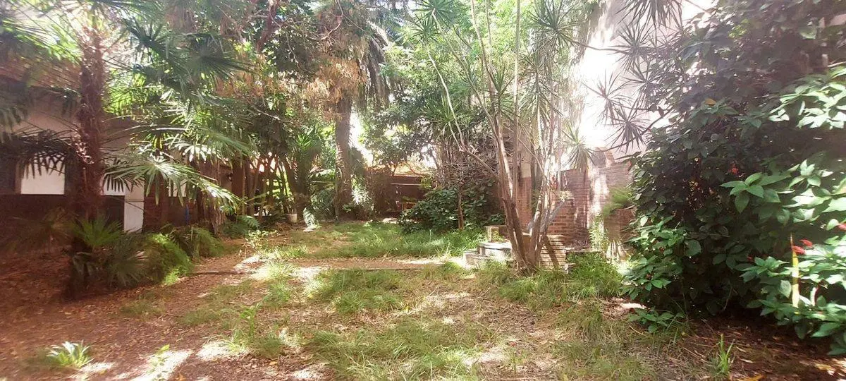 VENTA DOS LOCALES CON VIVIENDA Y JARDIN 5