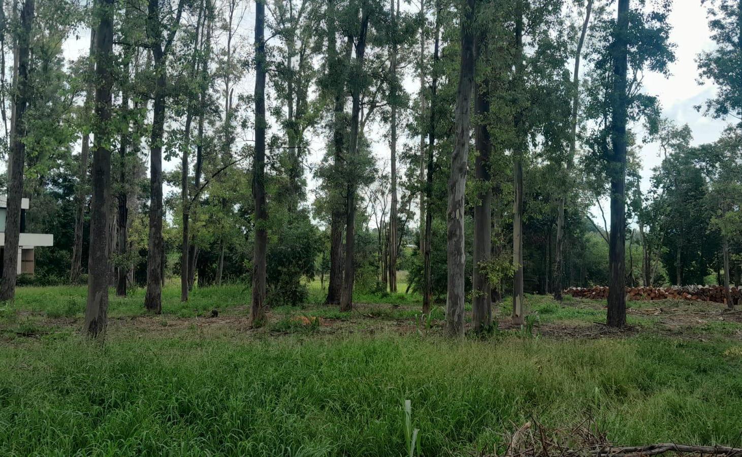 Foto de Terreno EXELENTE UBICACION VISTA PANORAMICA, imagen 1