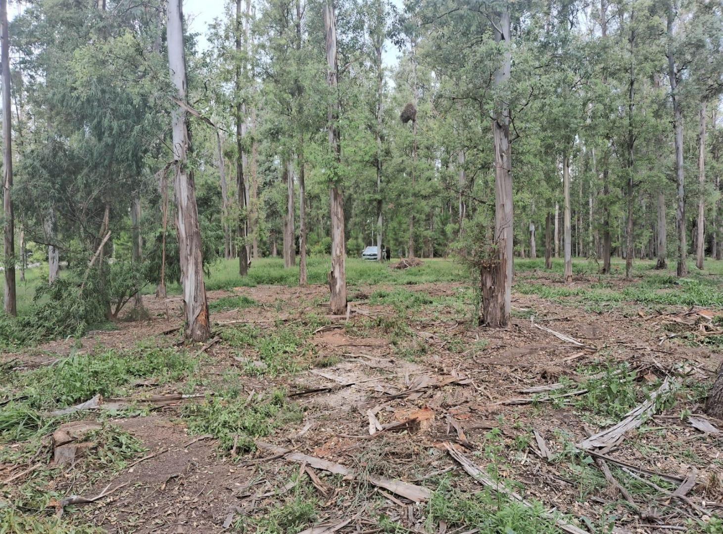 Foto de Terreno EXELENTE UBICACION VISTA PANORAMICA, imagen 2