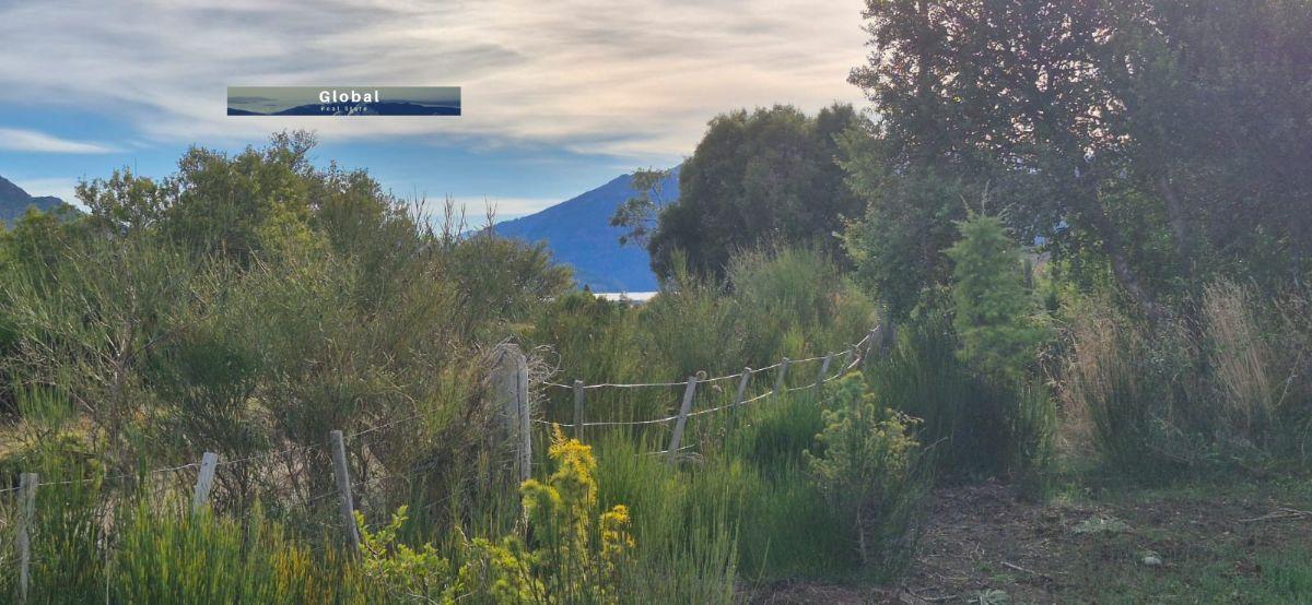 Foto de LOTE BARRIO QUILQUIHUE, LAGO LOLOG JUNÍN DE LOS ANDES PATAGONIA, imagen 2
