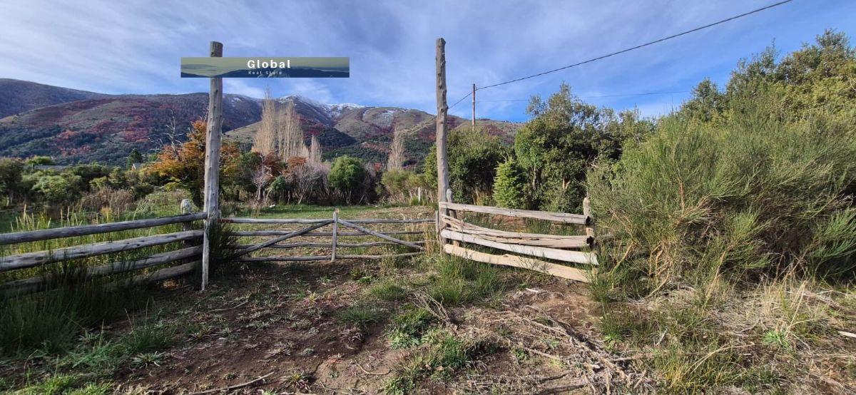 Foto de LOTE BARRIO QUILQUIHUE, LAGO LOLOG JUNÍN DE LOS ANDES PATAGONIA, imagen 5